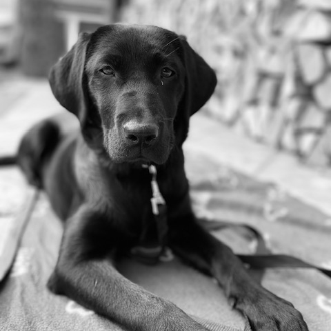 Mia